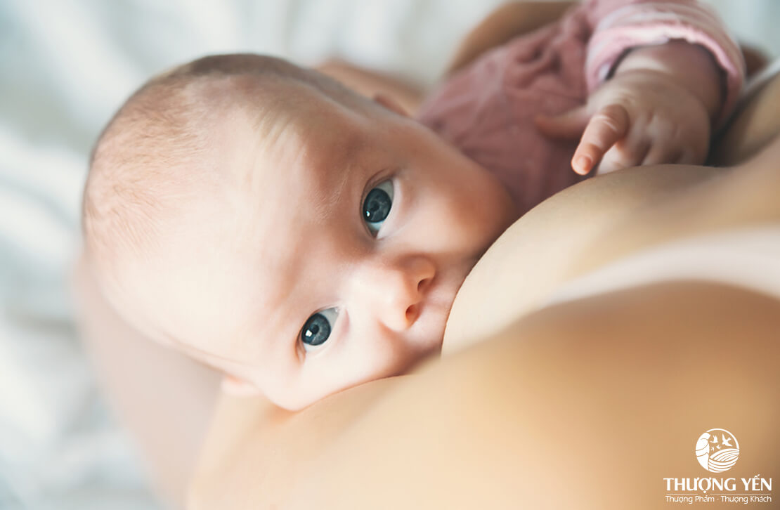 Phụ nữ sau sinh mổ nên ăn gì để nhanh phục hồi, nhanh về sữa?