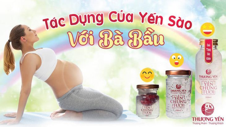 Bà bầu ăn yến sào có tác dụng gì? Mang thai bao nhiêu tháng được ăn yến?