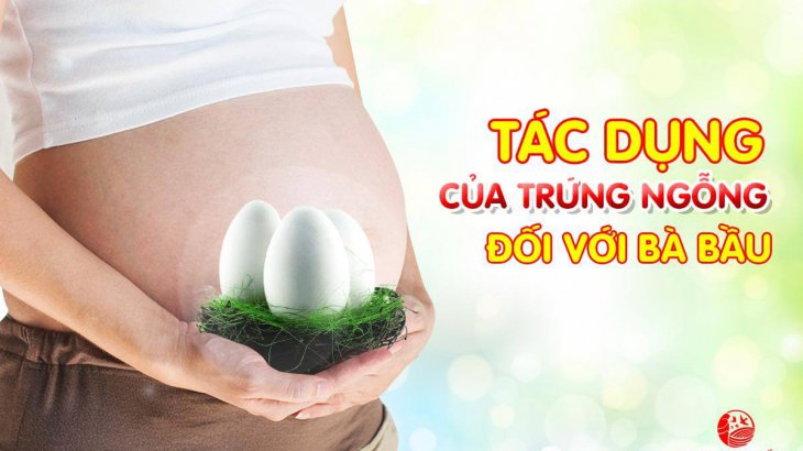Bà bầu ăn trứng ngỗng có tác dụng gì đối với thai nhi?